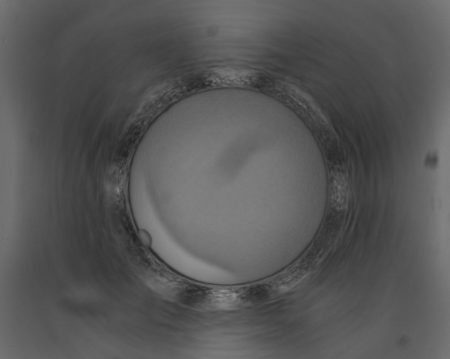 X0000090920701200708271024