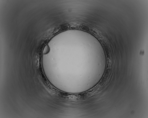 X0000090920703200708271024