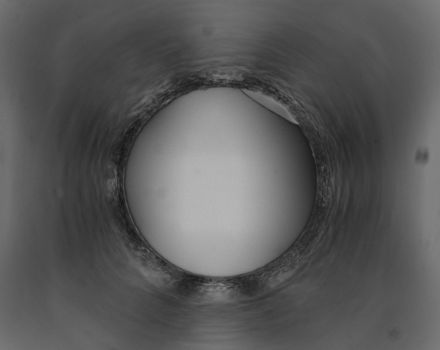 X0000090920704200708271024