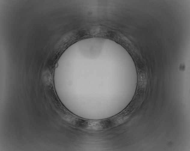 X0000090920705200708271024