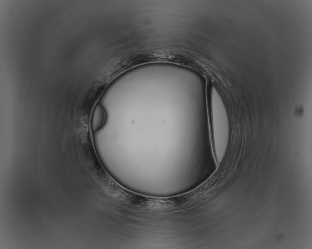 X0000090920707200708271024