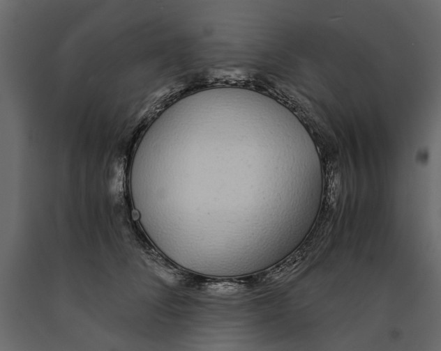 X0000090920708200708271024