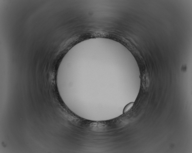 X0000090920714200708271024