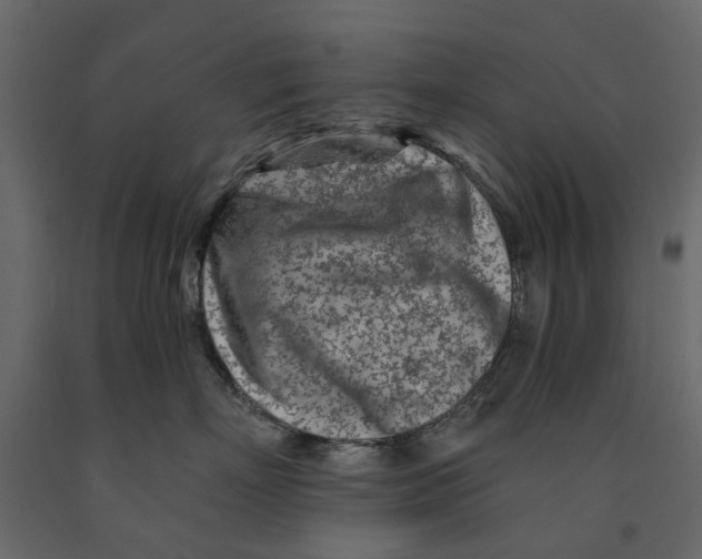 X0000090920718200708271024