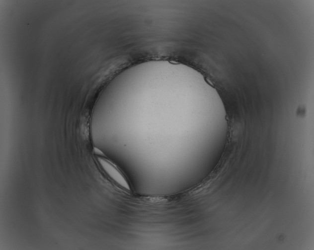 X0000090920719200708271024