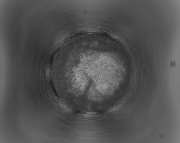 X0000090920720200708271024