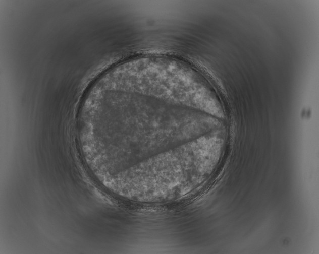 X0000090920721200708271024