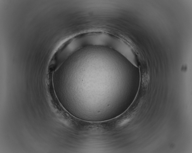 X0000090920724200708271024