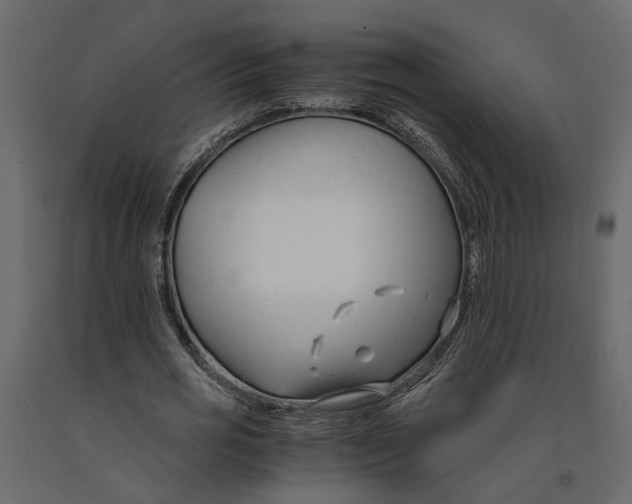 X0000090920725200708271024