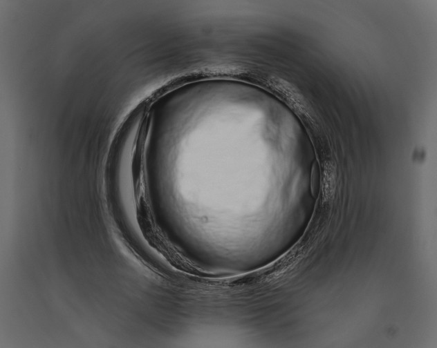 X0000090920726200708271024