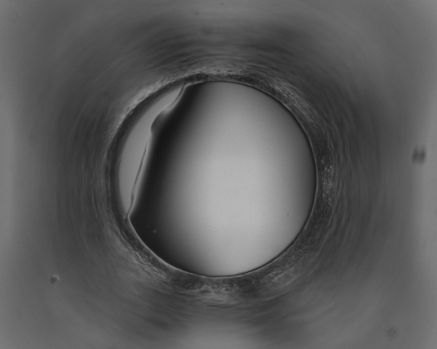 X0000090920727200708271024