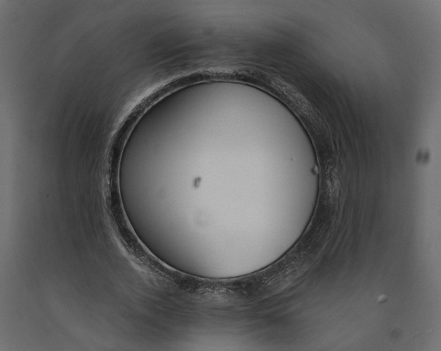 X0000090920728200708271024