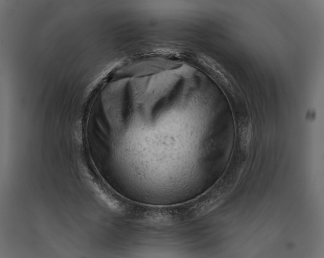 X0000090920729200708271024