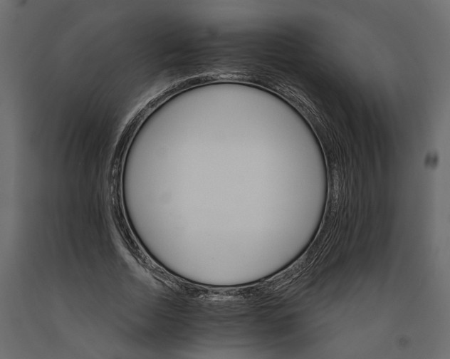 X0000090920730200708271024