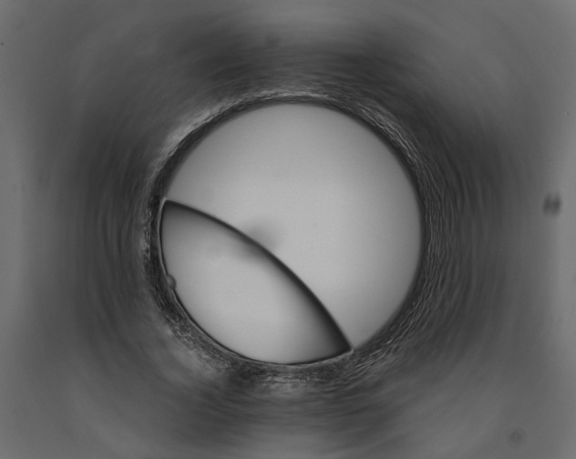 X0000090920732200708271024