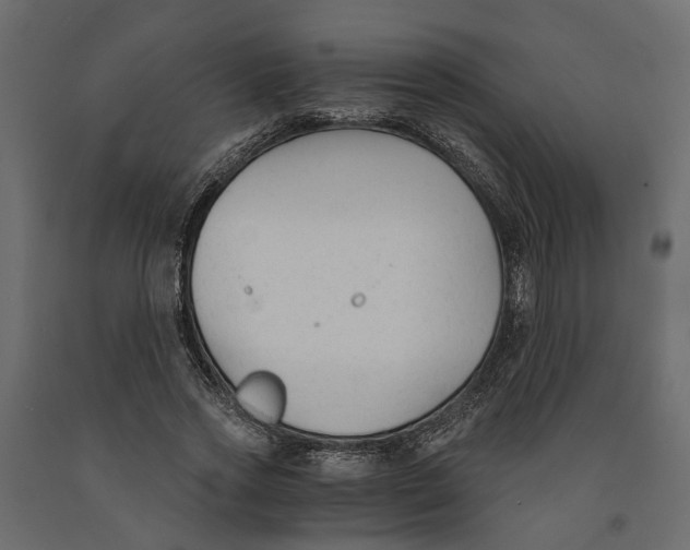 X0000090920733200708271024