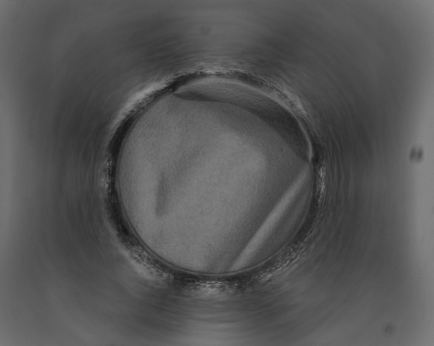 X0000090920736200708271024