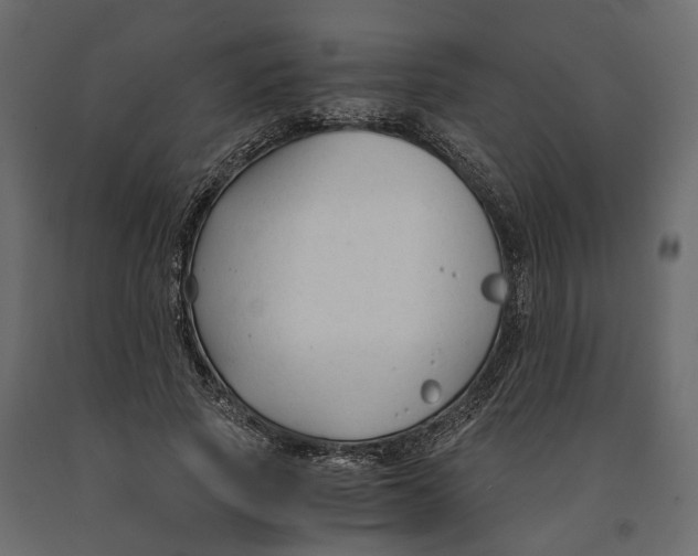 X0000090920737200708271024