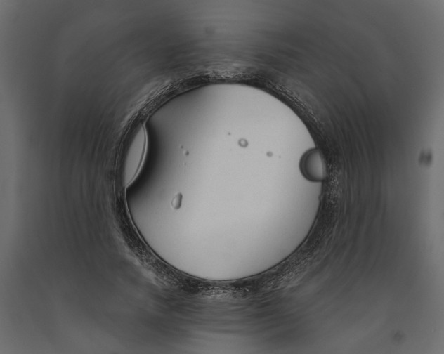 X0000090920738200708271024