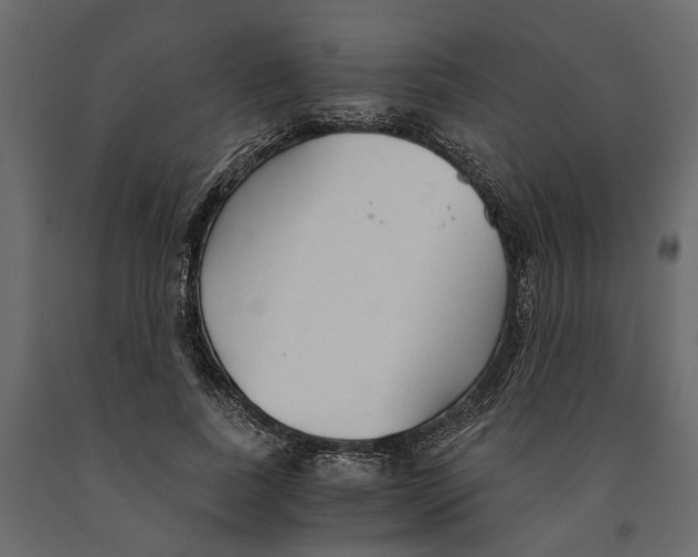 X0000090920739200708271024