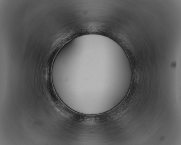 X0000090920740200708271024