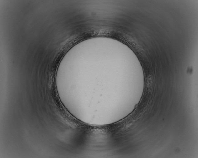 X0000090920741200708271024