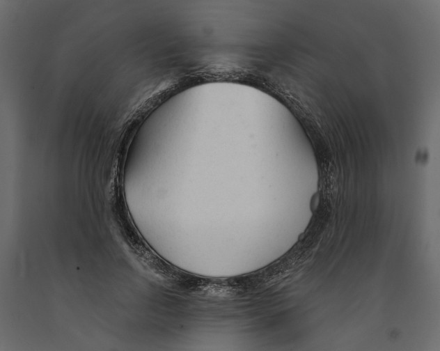 X0000090920742200708271024