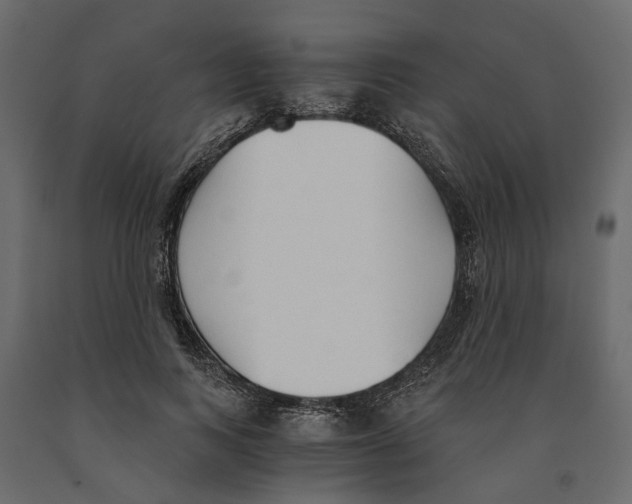 X0000090920743200708271024