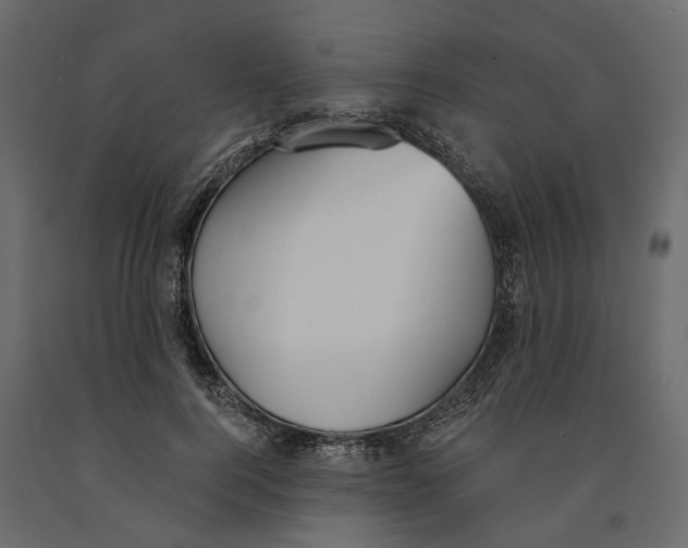 X0000090920744200708271024