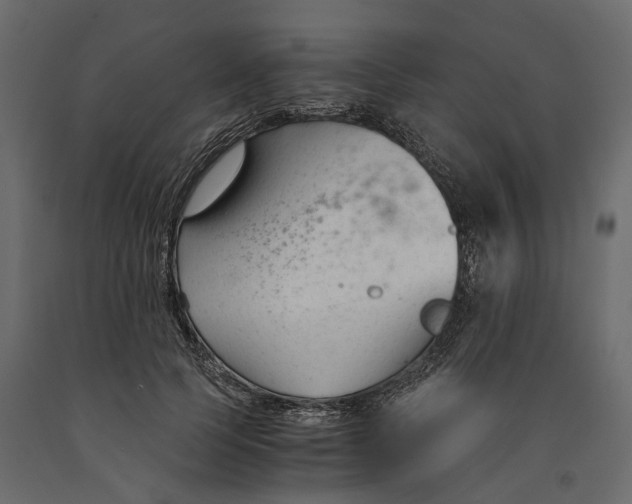 X0000090920745200708271024