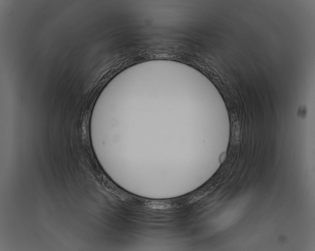 X0000090920746200708271024