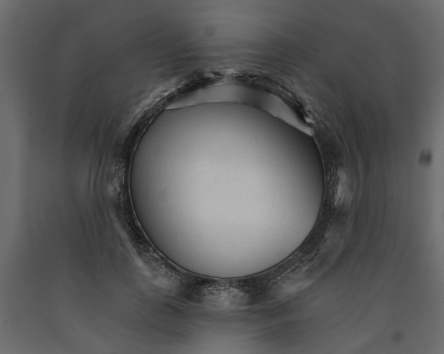 X0000090920747200708271024