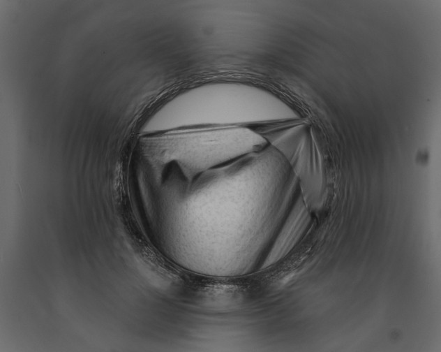 X0000090920748200708271024