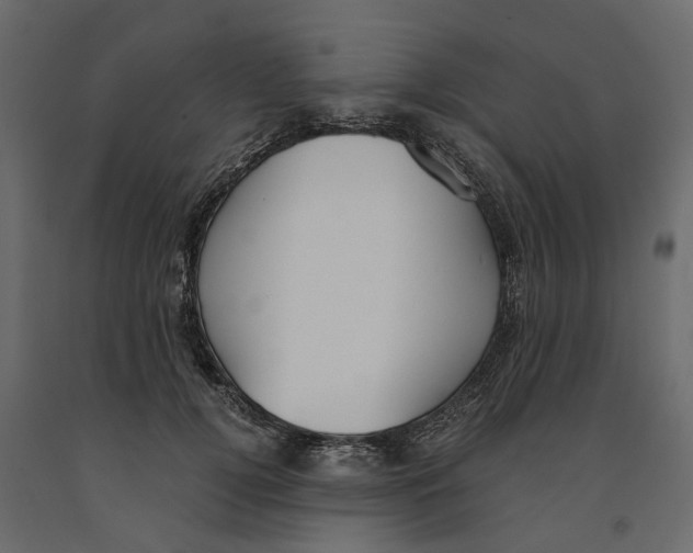 X0000090920752200708271024