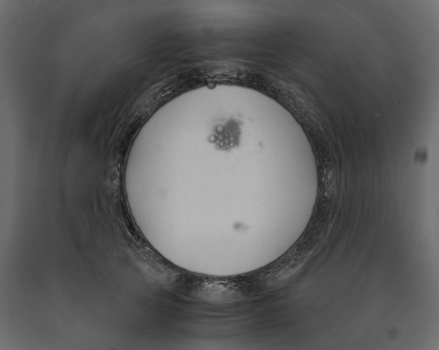 X0000090920753200708271024