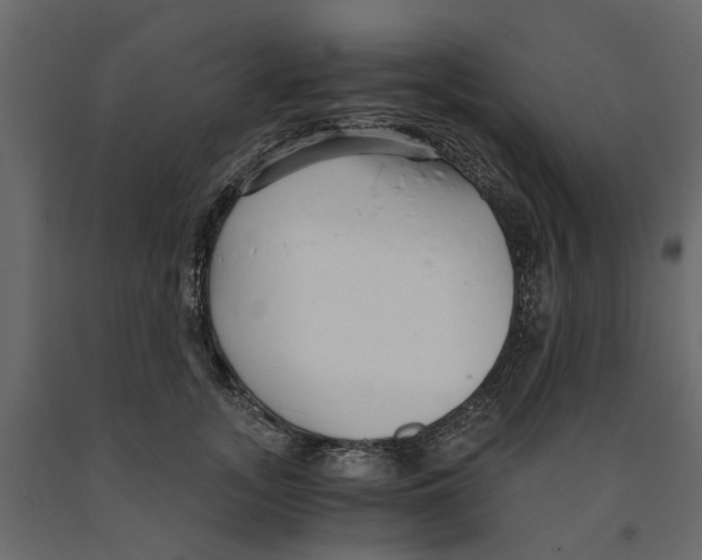 X0000090920755200708271024