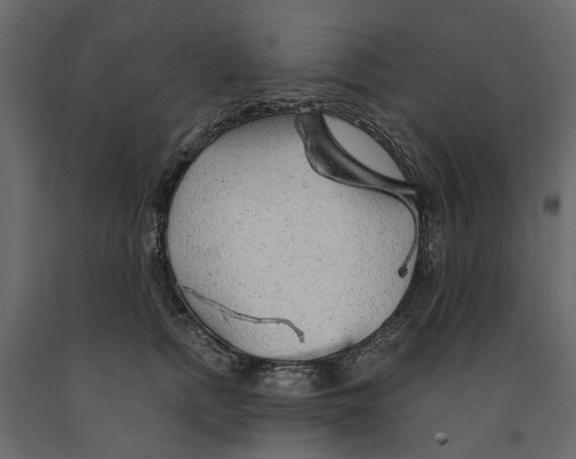 X0000090920758200708271024