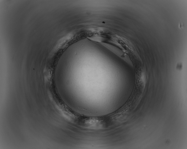 X0000090920759200708271024