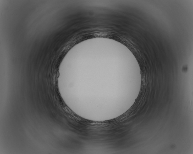 X0000090920763200708271024