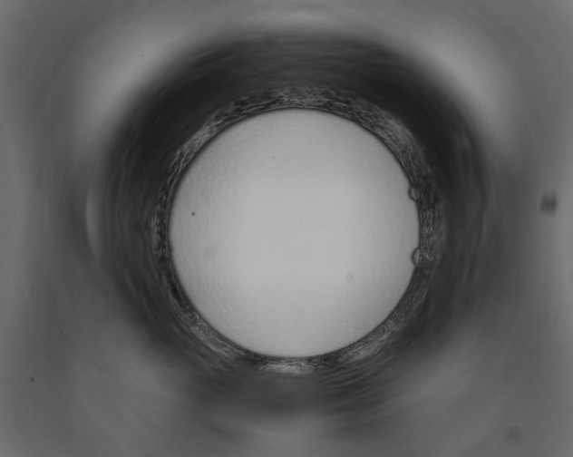 X0000090920765200708271024