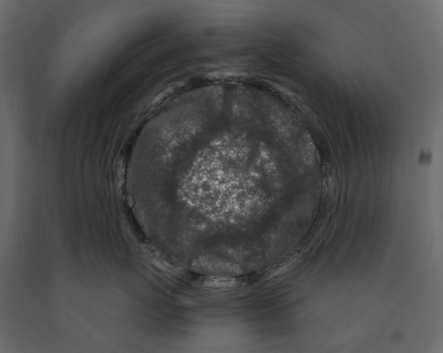 X0000090920767200708271024