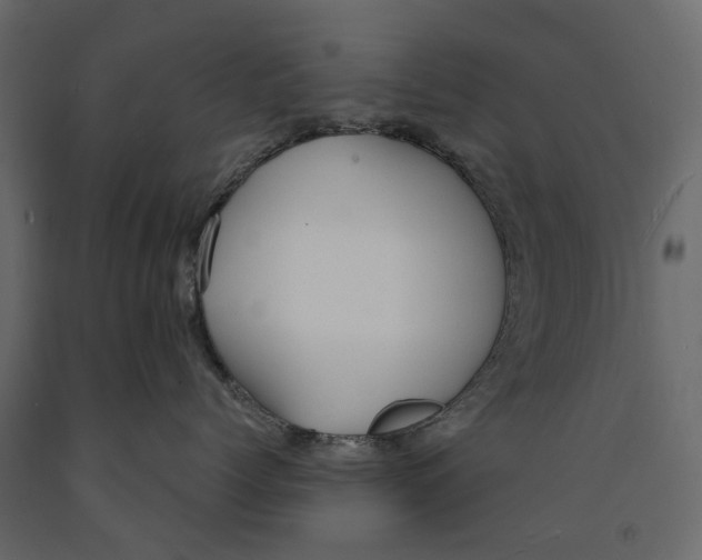 X0000090920768200708271024