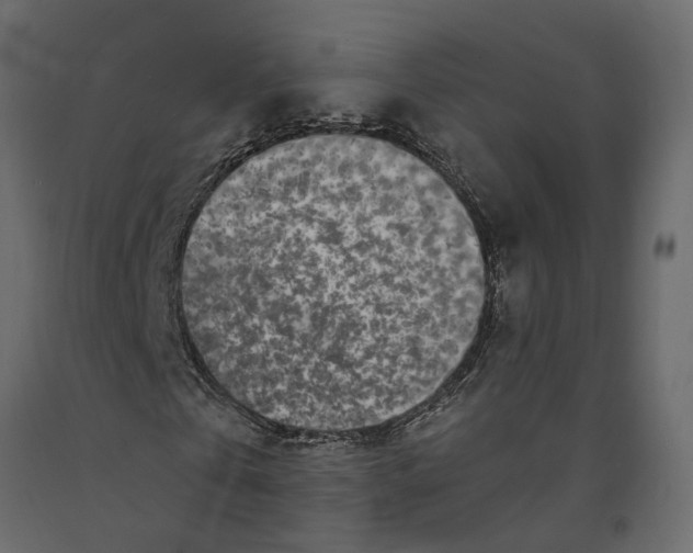 X0000090920769200708271024