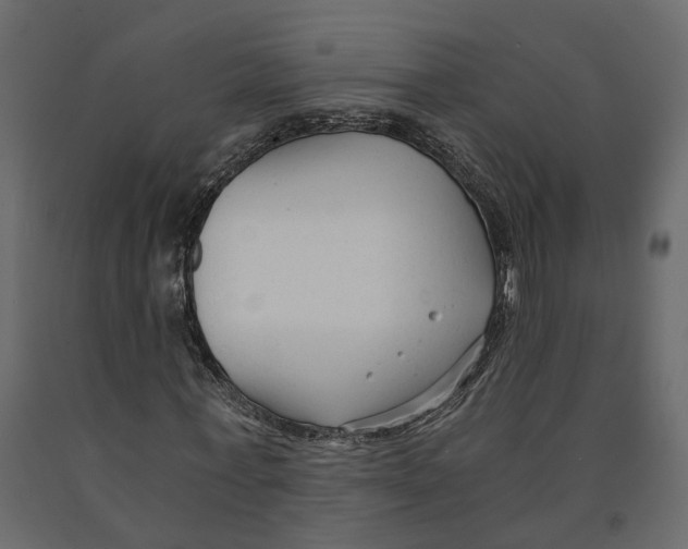 X0000090920771200708271024