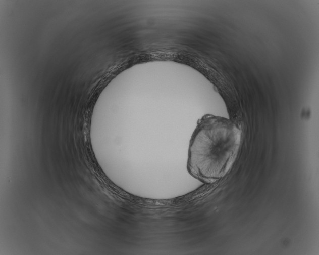 X0000090920772200708271024