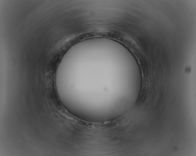 X0000090920773200708271024