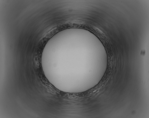 X0000090920774200708271024