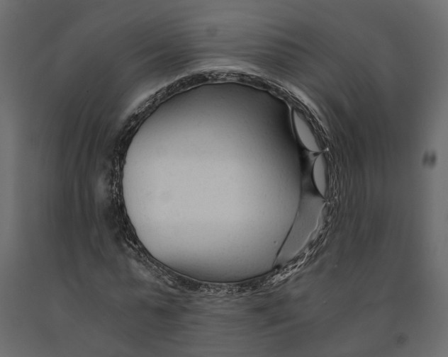 X0000090920775200708271024