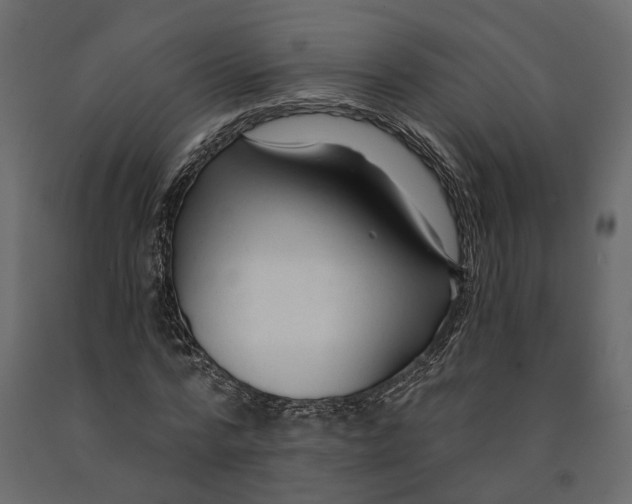 X0000090920776200708271024