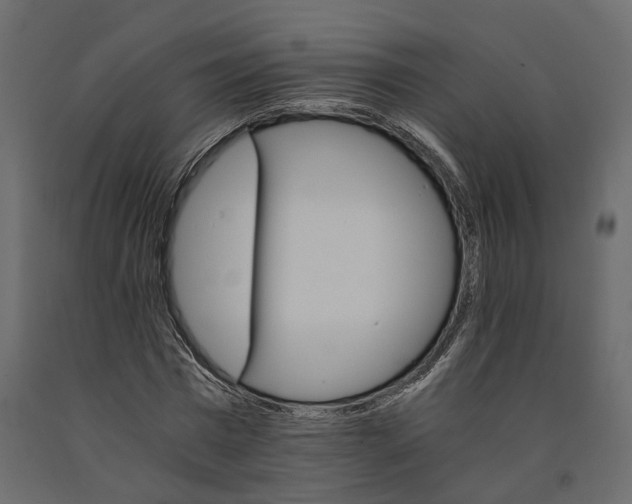 X0000090920777200708271024